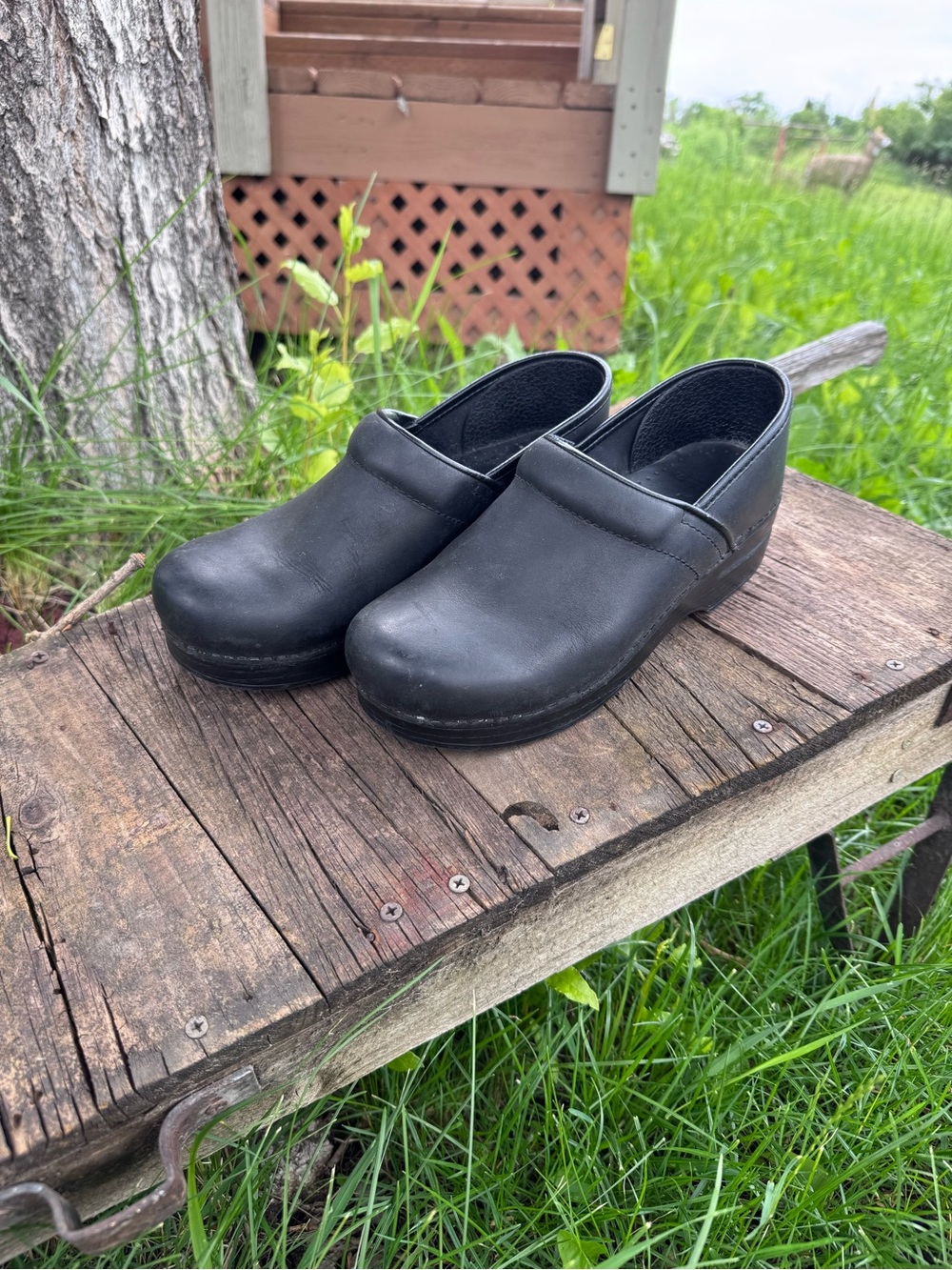 Dansko Black Leather Clogs - Narrow 7.5